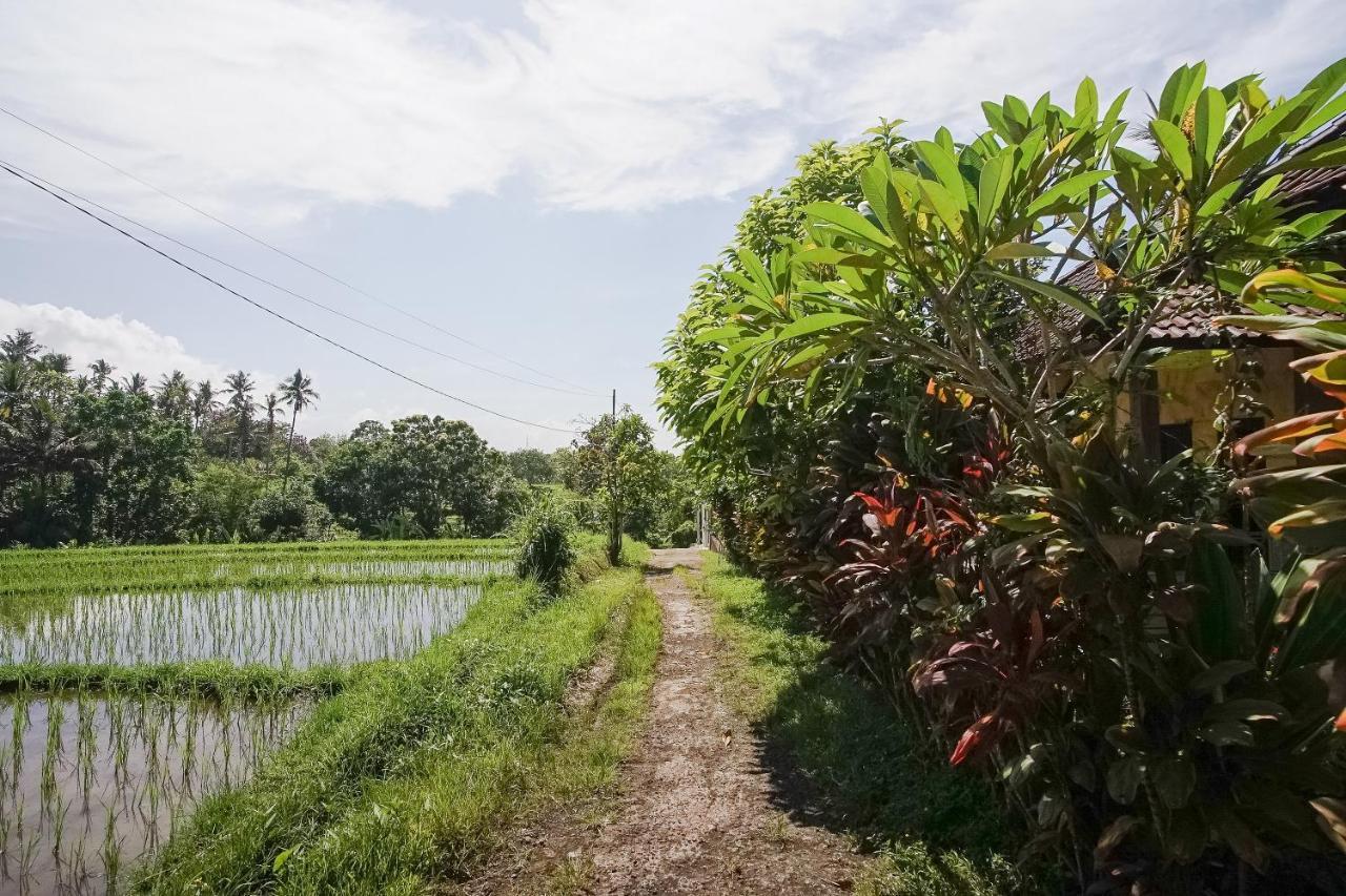 Mejan Home Stay Balian ภายนอก รูปภาพ